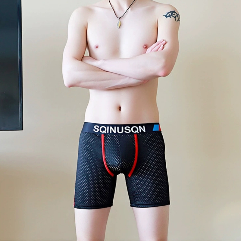 Men's Ice Silk Mesh Boxer Brie - đánh giá và giá Long Leg Trunk Men