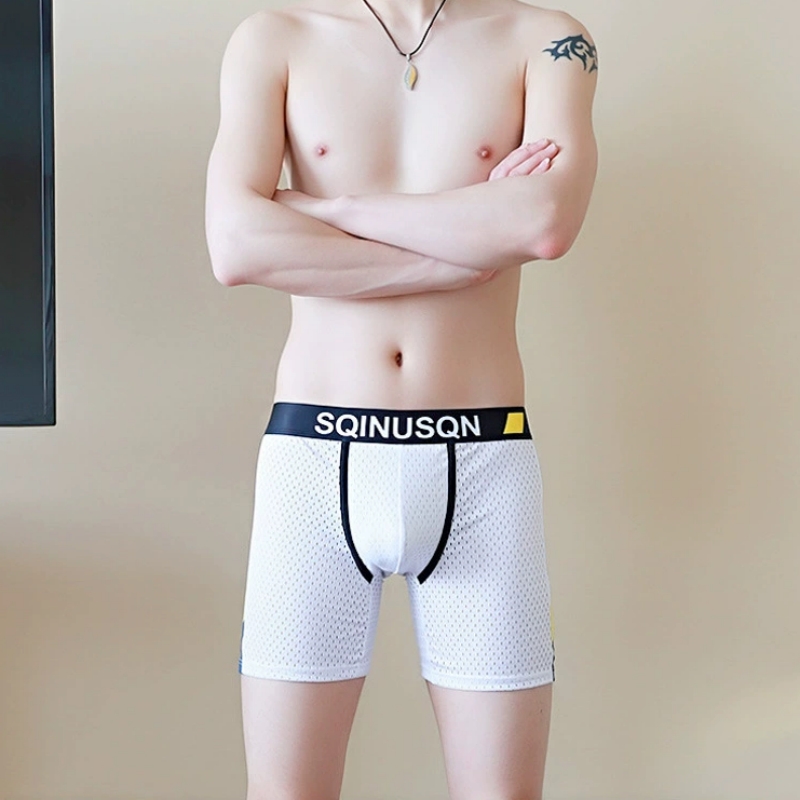 Men's Ice Silk Mesh Boxer Brie - đánh giá và giá Long Leg Trunk Men